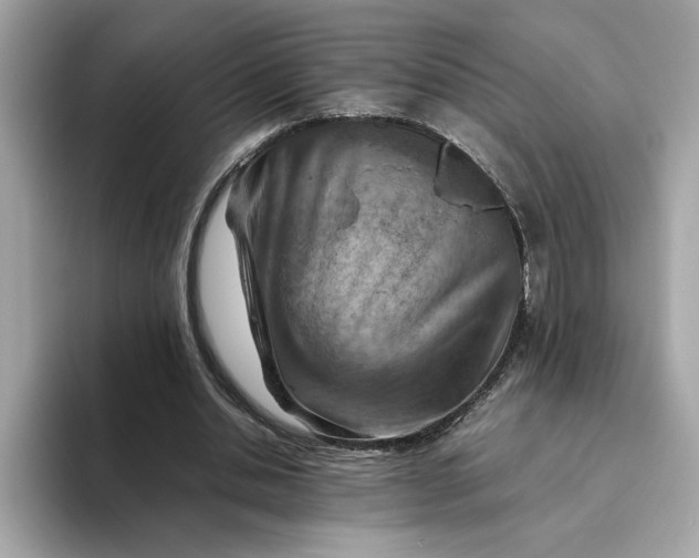 X0000093510438200711021031