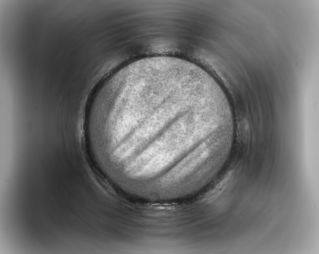 X0000093510443200711021031