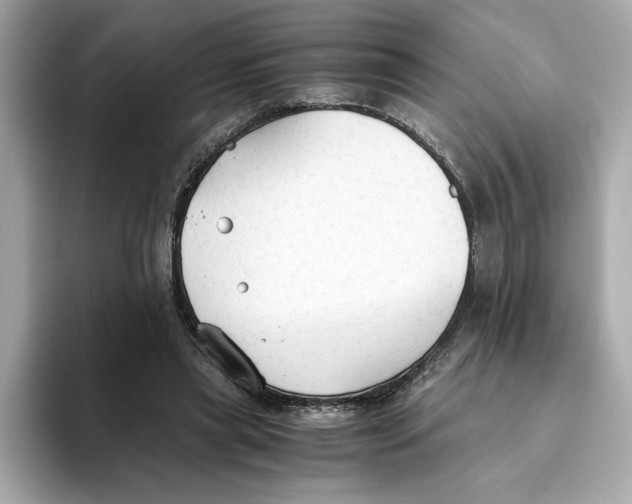 X0000093510445200711021031