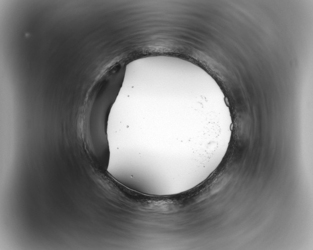 X0000093510446200711021031