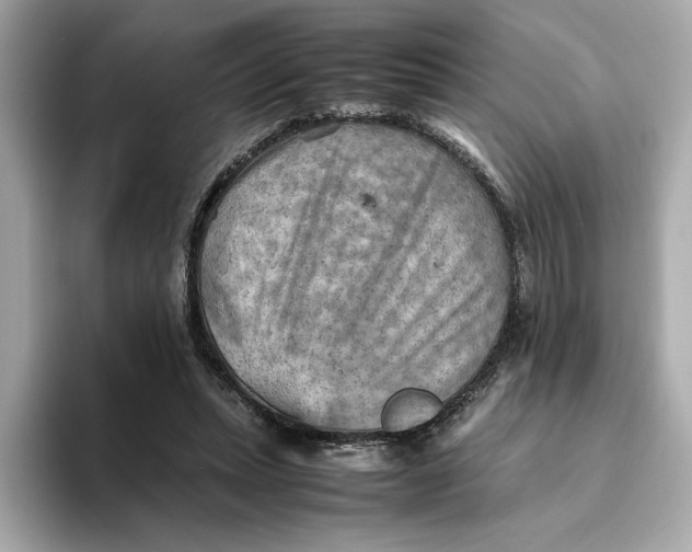 X0000093510447200711021031