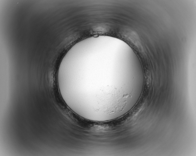 X0000093510455200711021031