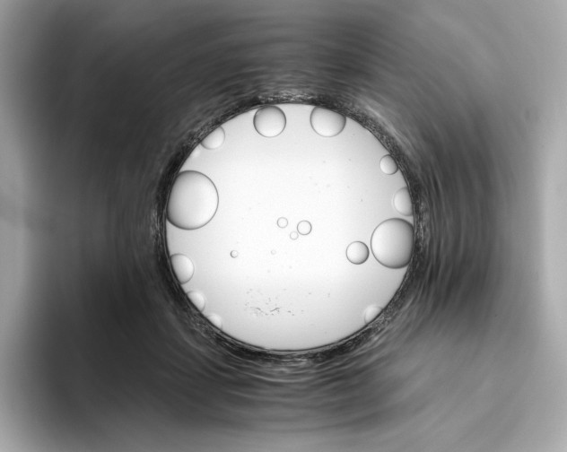 X0000093510459200711021031