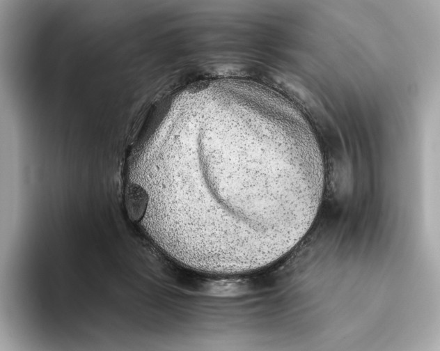 X0000093510461200711021031