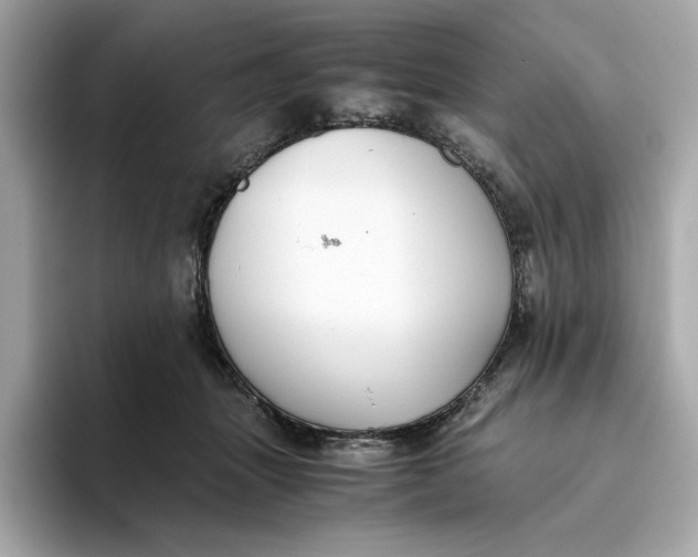 X0000093510463200711021031