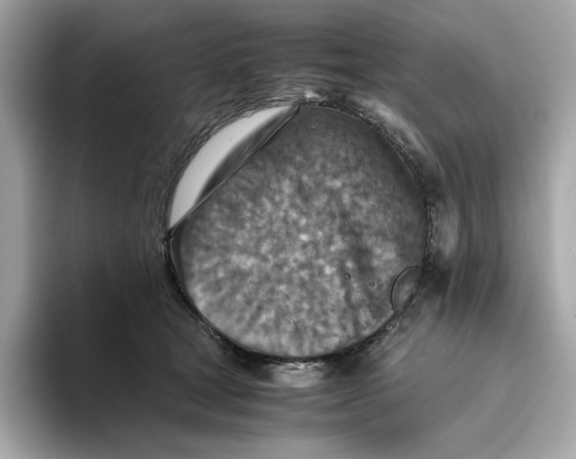 X0000093510465200711021031