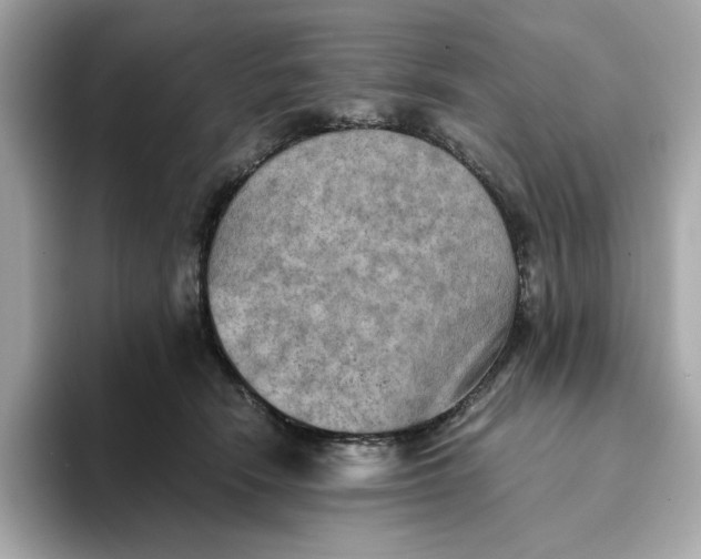 X0000093510466200711021031