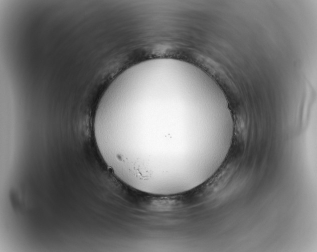 X0000093510470200711021031