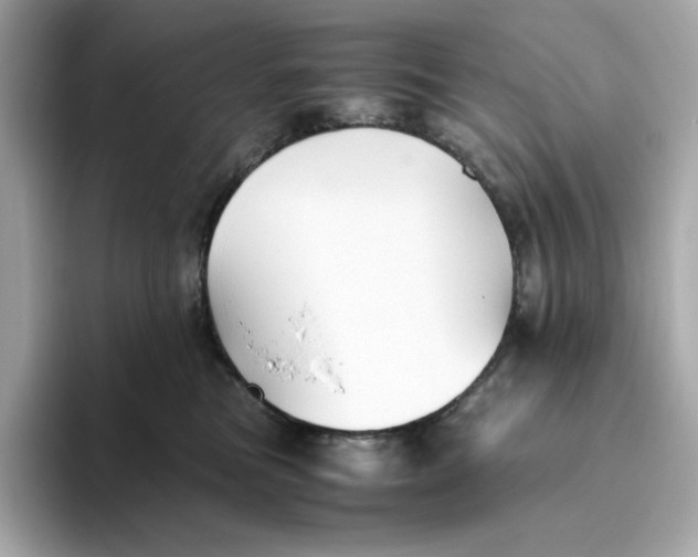 X0000093510473200711021031