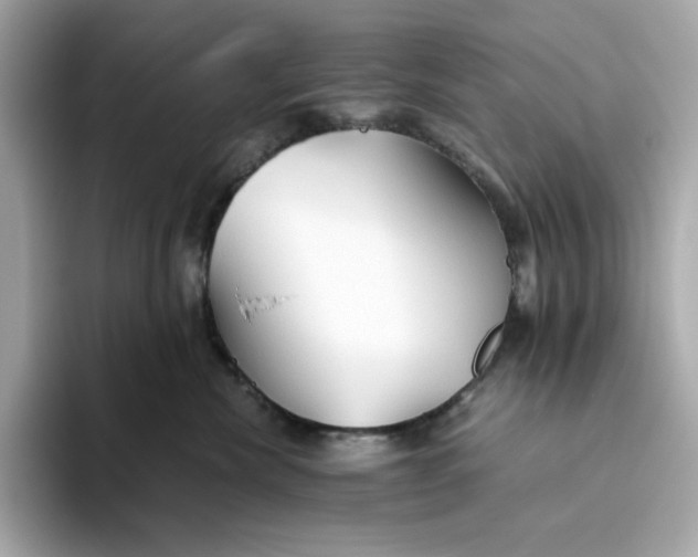 X0000093510476200711021031