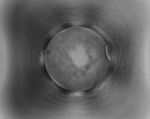 X0000093510479200711021031