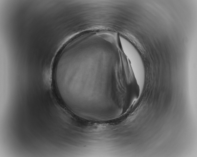 X0000093510484200711021030