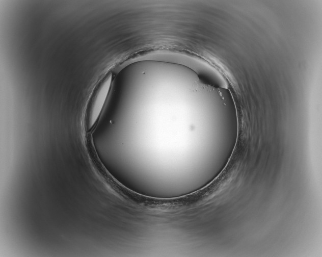 X0000093510485200711021030