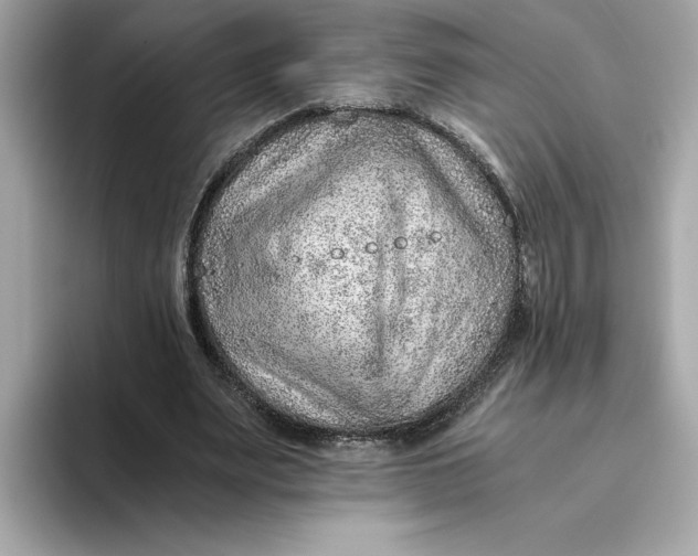 X0000093510487200711021030