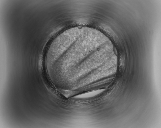 X0000093510492200711021030