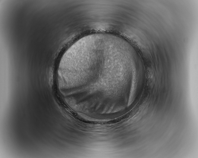 X0000093510496200711021030