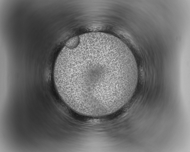 X0000093510499200711021030