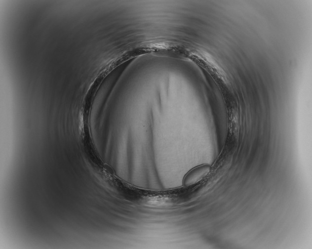 X0000093510500200711021030