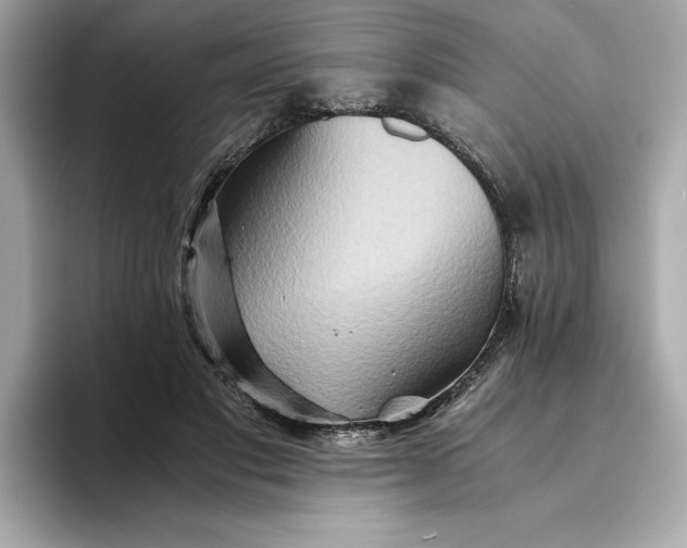 X0000093510501200711021030