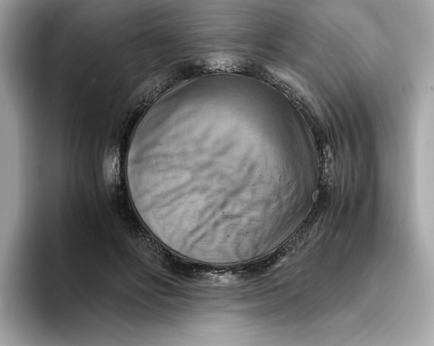 X0000093510502200711021030