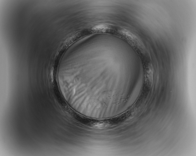 X0000093510504200711021030