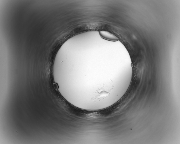 X0000093510505200711021030