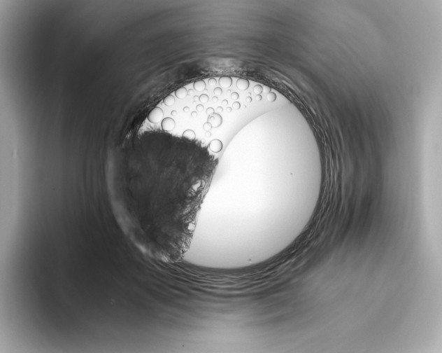 X0000093510507200711021030