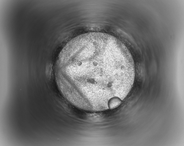 X0000093510511200711021030