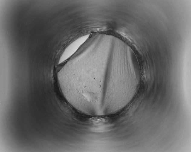 X0000093510512200711021030