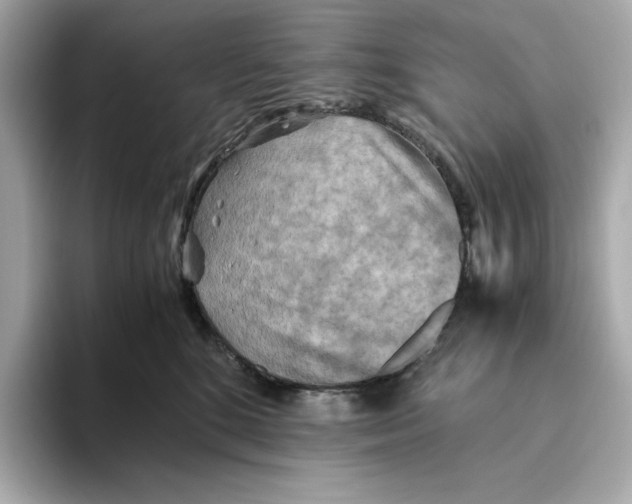 X0000093510520200711021030