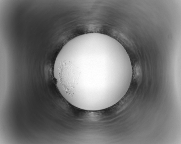 X0000093510522200711021030