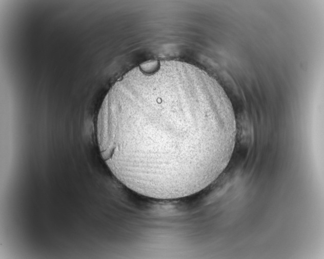 X0000093510523200711021030