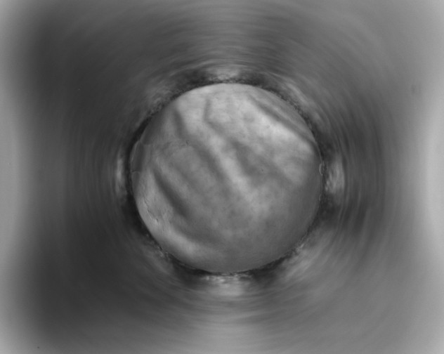 X0000093510524200711021030