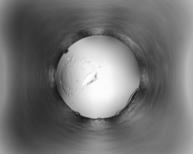 X0000093510525200711021030