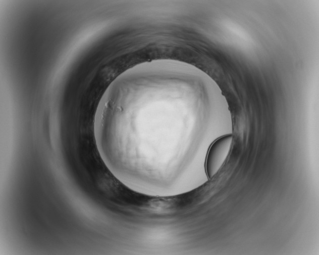 X0000093510526200711021030