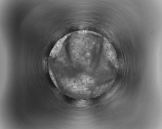 X0000093510527200711021030