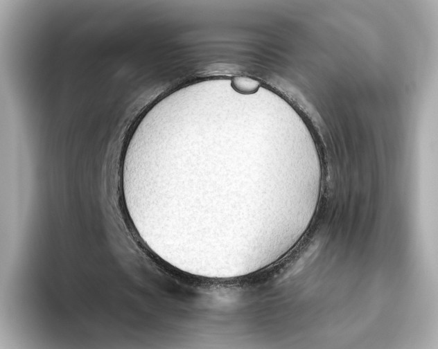 X0000093510529200711021029