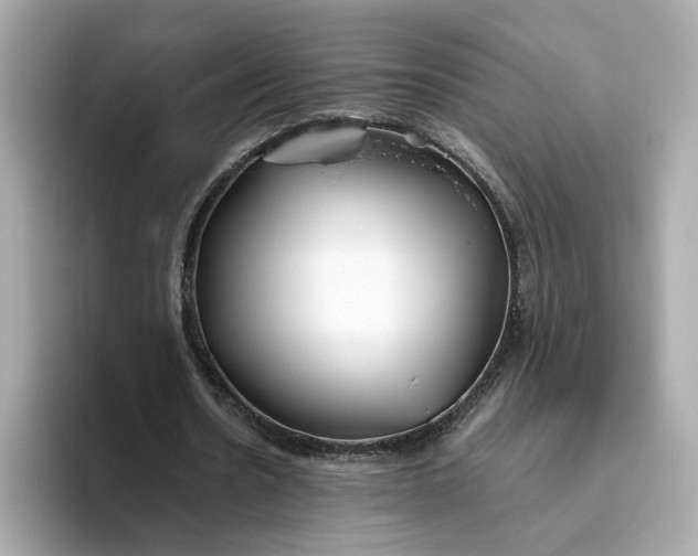 X0000093510530200711021029