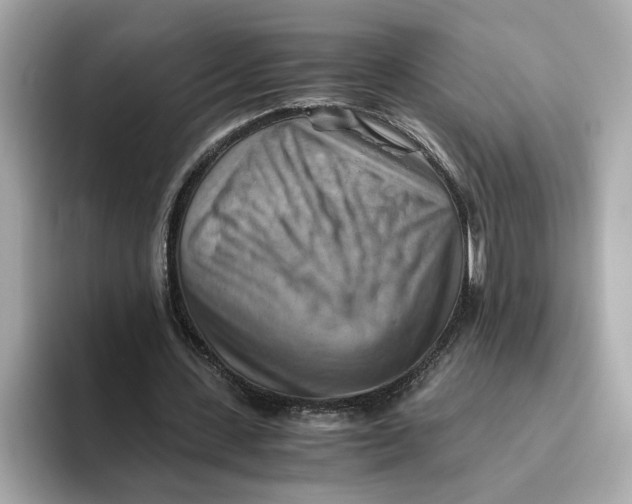 X0000093510531200711021029