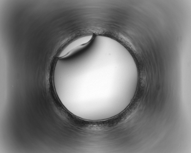 X0000093510538200711021029