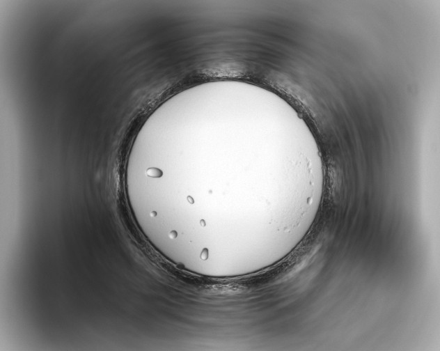 X0000093510541200711021029