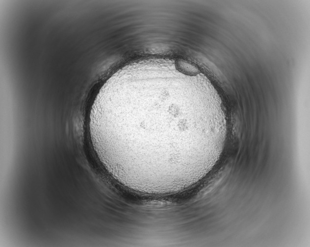 X0000093510542200711021030