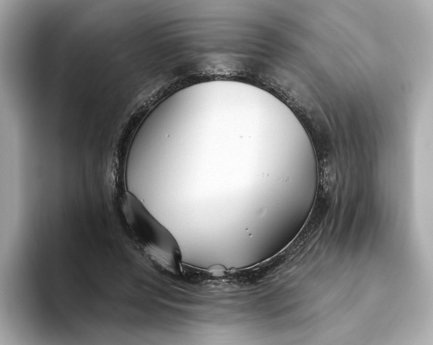 X0000093510544200711021030