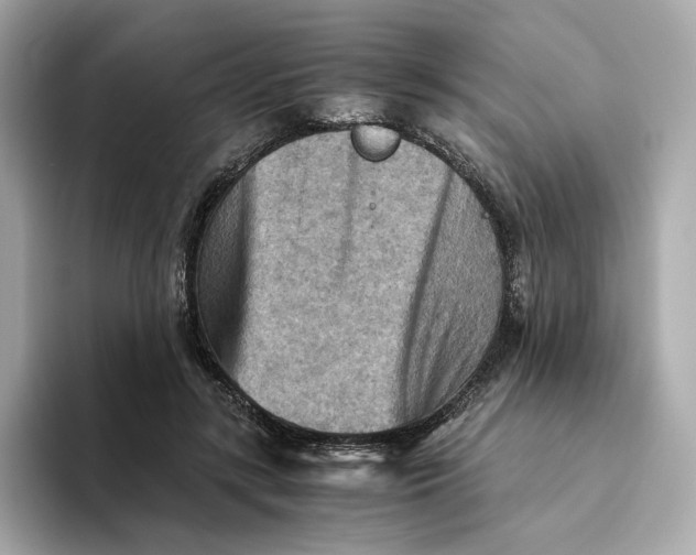 X0000093510547200711021030