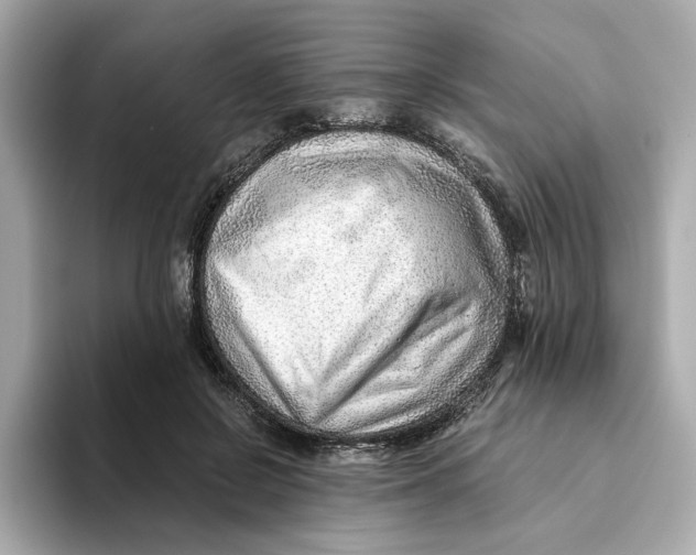 X0000093510550200711021030