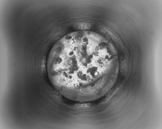 X0000093510553200711021030