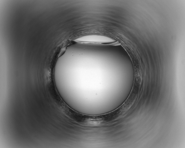 X0000093510556200711021030