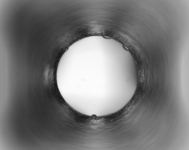 X0000093510560200711021030