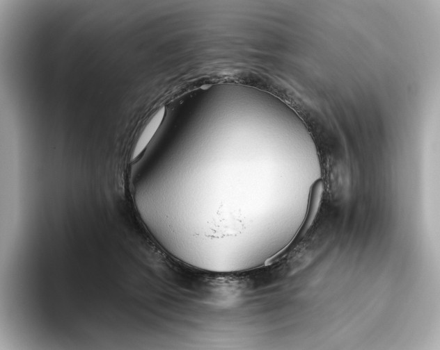 X0000093510562200711021030