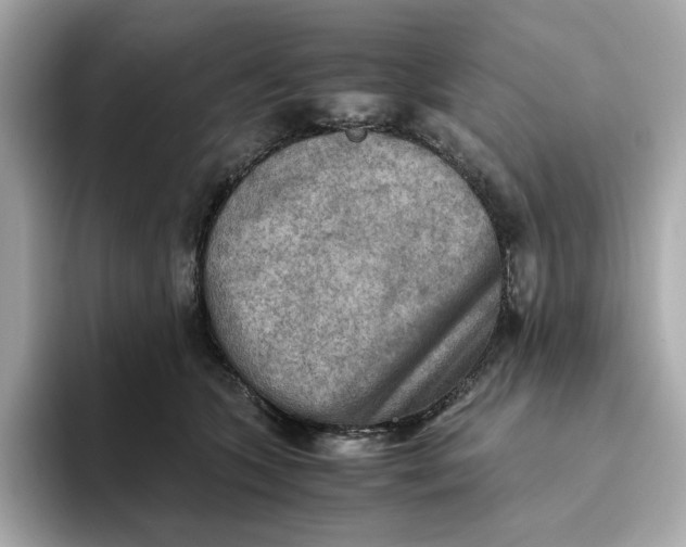 X0000093510563200711021030